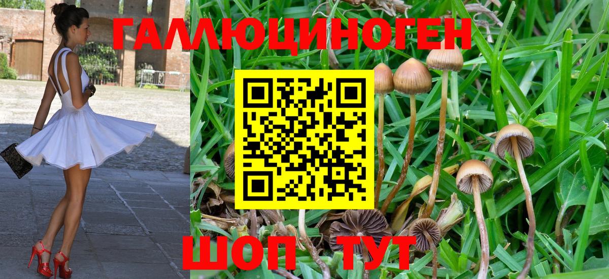 Галлюциногенные грибы GOLDEN TEACHER Димитровград