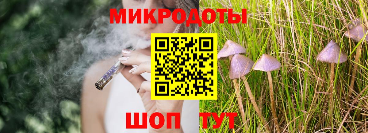 Димитровград  Галлюциногенные грибы Cubensis  Вход с VPN 